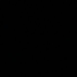 Meet your Posher, Audrey